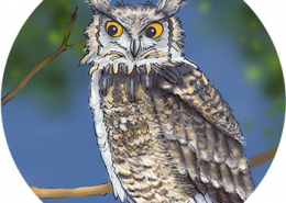Ottilyn the megowl