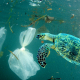Plastic waste