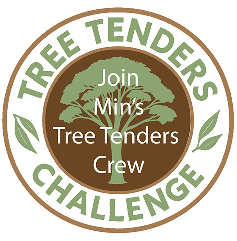 Join Tree tenders challenge BUTTON